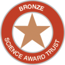 bronze-badge